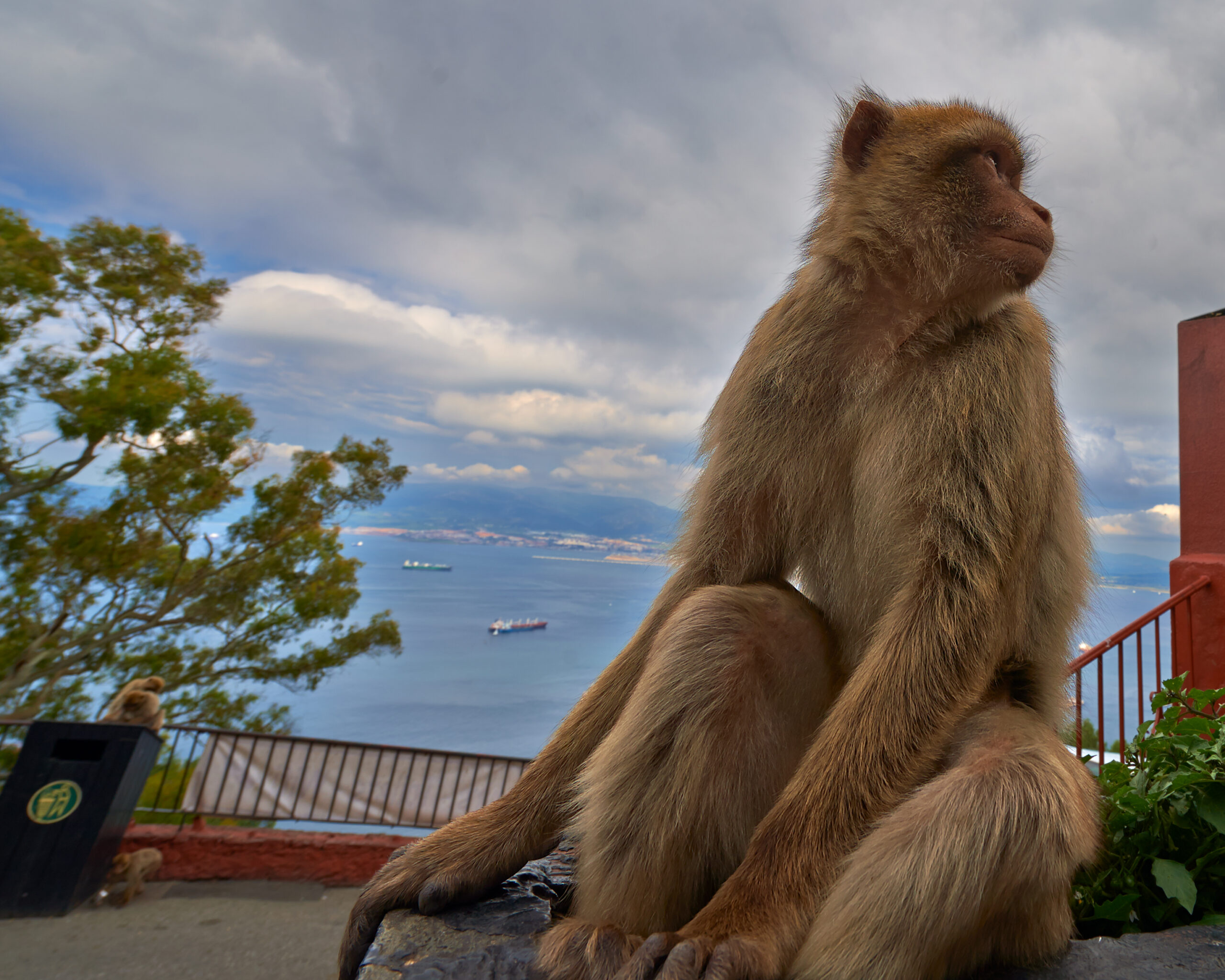 Saturday (03-May-2025) — New Jersey